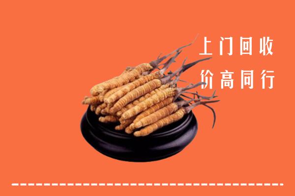 高价求购：珠海金湾区回收散虫草