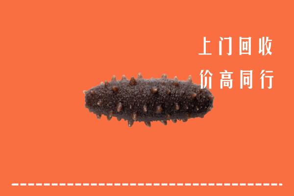 高价求购：珠海金湾区回收海参