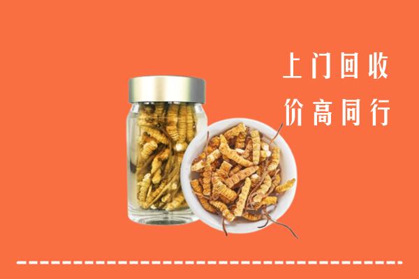 珠海金湾区回收冬虫夏草