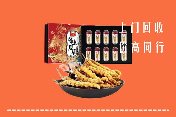 珠海金湾区回收虫草